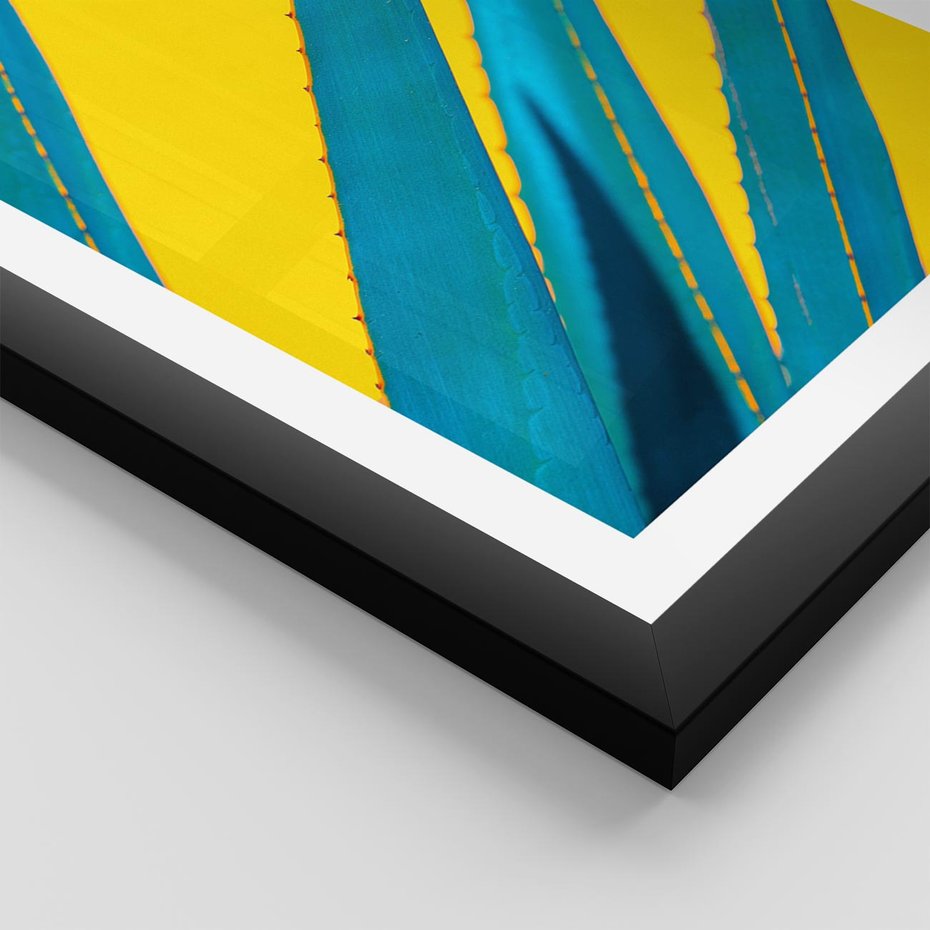 Plakat w ramie 40x50 - Świeżość Natury - aloes, liście - rama czarna