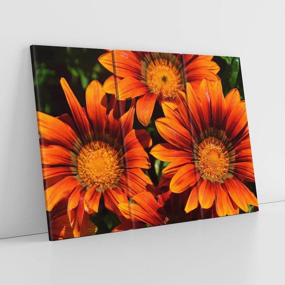 Obraz na płótnie 120x80 - Kwiatowa Esencja - kwiat, kwiaty