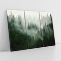 Obraz na płótnie 120x80 - Las Mgły - Las, we