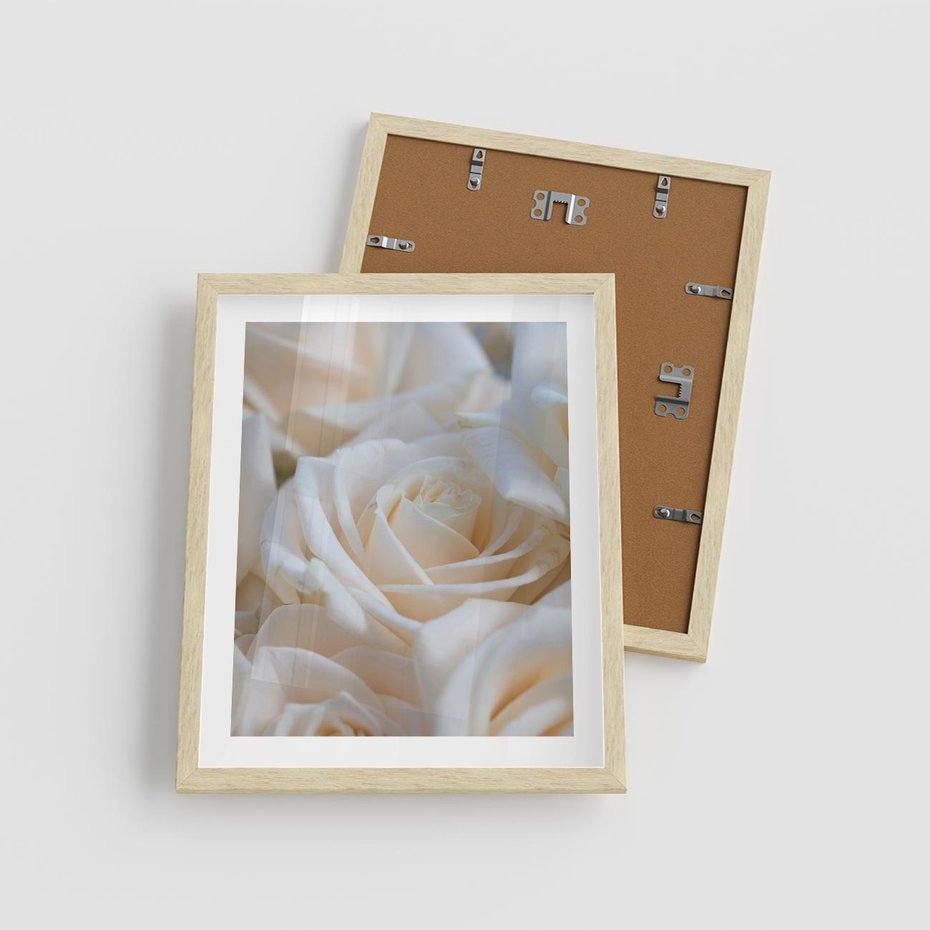 Plakat w ramie 40x50 - Białe róże piękności - białe, róże - rama drewno
