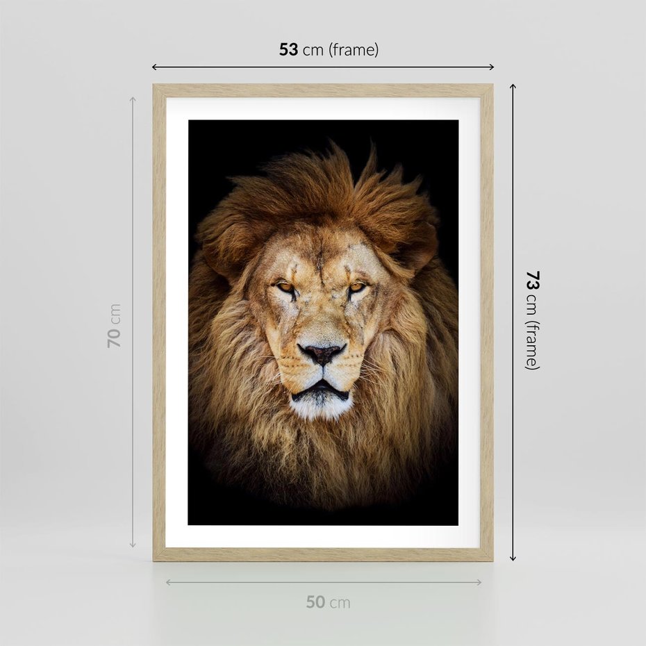 Plakat w ramie 50x70 - Król zwierząt w majestatycznym stylu - lew, król - rama drewno