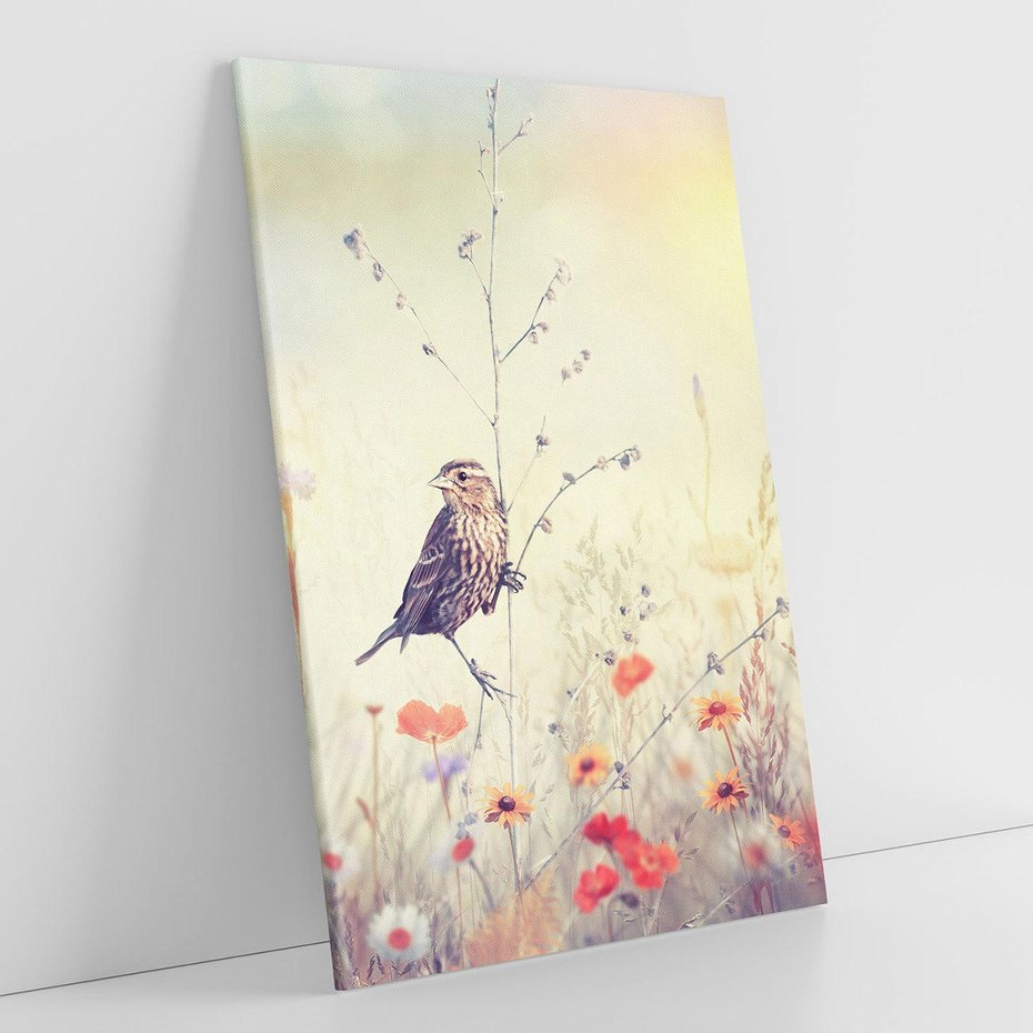 Obraz na płótnie 70x100 - Poranek wśród łąki - ptak, łąka