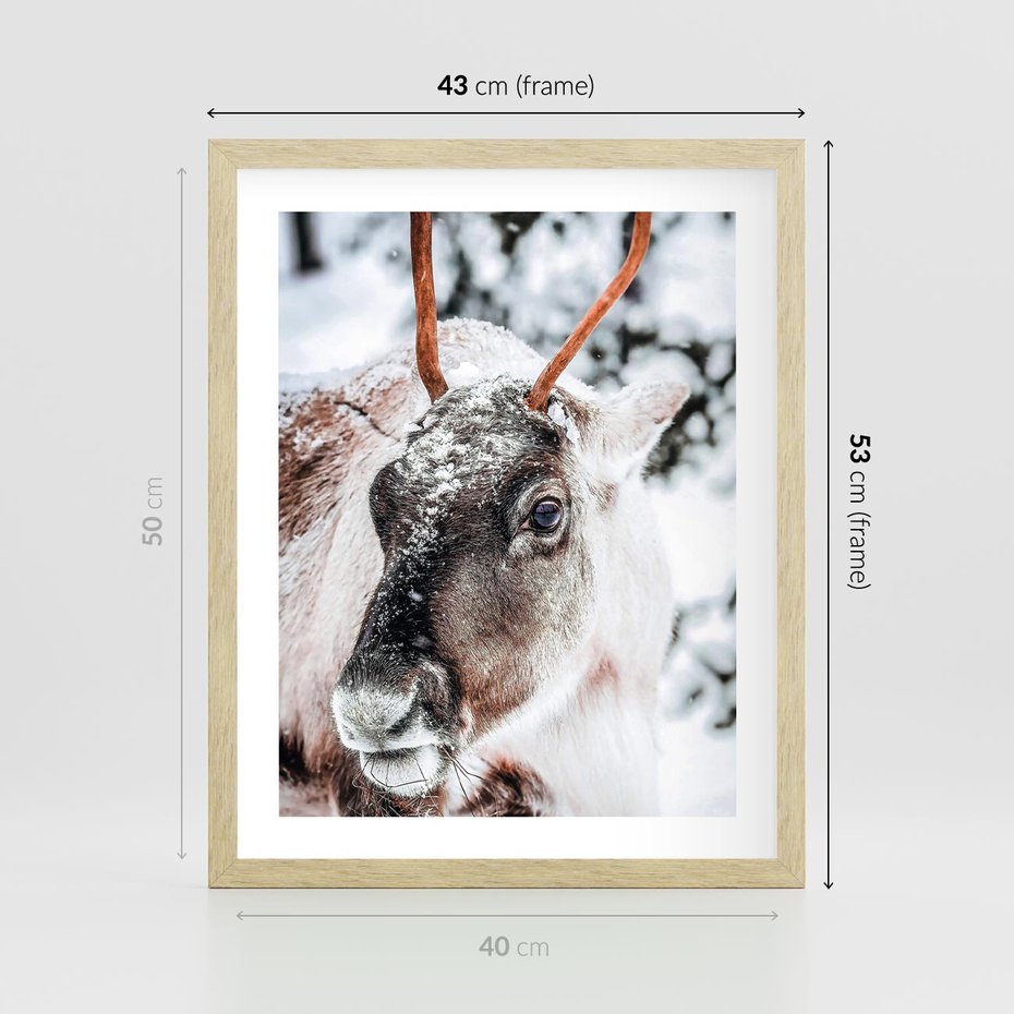 Plakat w ramie 40x50 - Renifer w Zimowej Krainie - renifer, zima - rama drewno