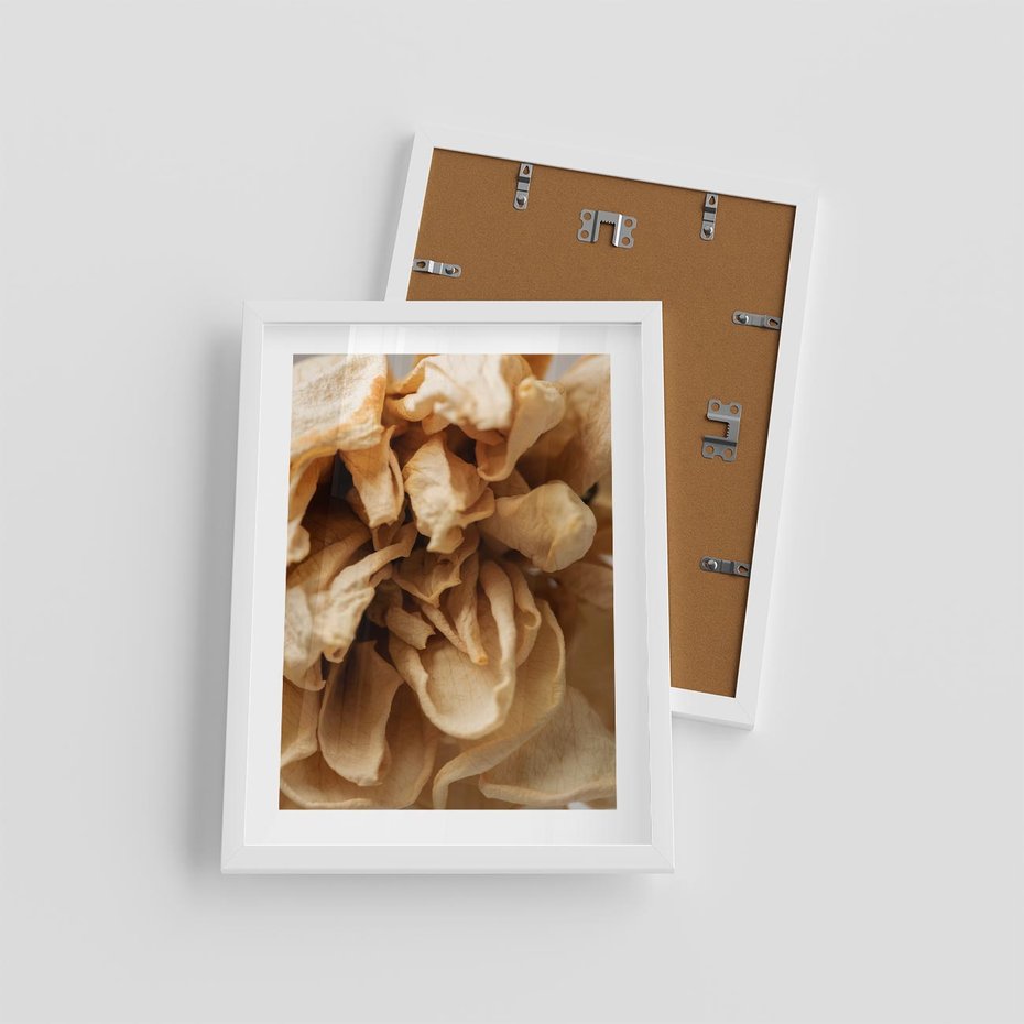 Plakat w ramie 30x40 - Zjawiskowe zasuszone kwiaty - zasuszone, kwiaty - rama biała