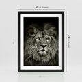 Plakat w ramie 30x40 - Moc lewego spojrzenia - lew, czarno - rama czarna