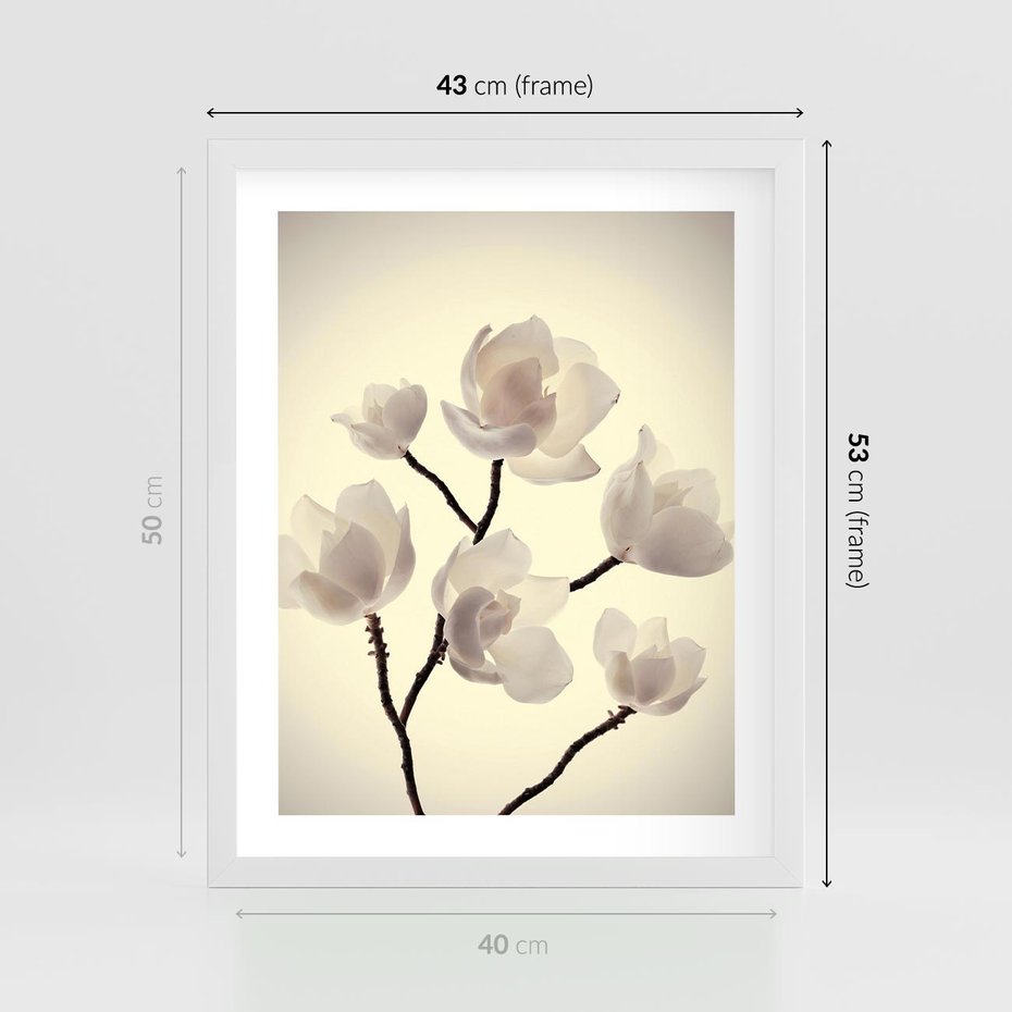 Plakat w ramie 40x50 - Elegancja Natury - magnolia, białe - rama biała