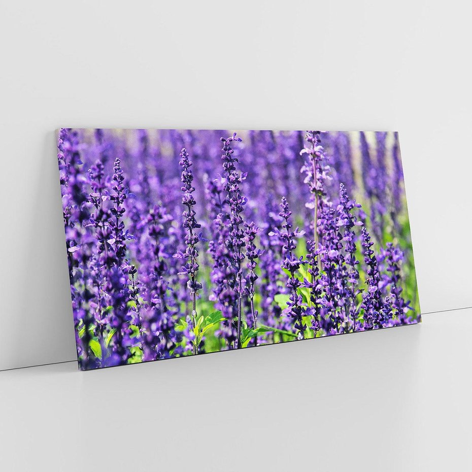 Obraz na płótnie 120x60 - Lawendowa Mgła - lawenda, kwiat