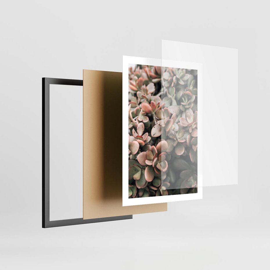 Plakat w ramie 50x70 - Sukulentowa Prostota - sukulenty, zielone liście - rama czarna