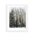 Plakat w ramie 40x50 - Sypiący Śnieg - las w zimie, drzewa pod śniegiem - rama biała