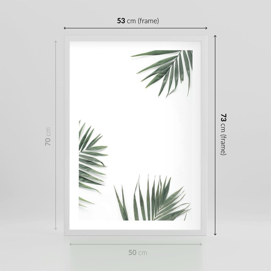 Plakat w ramie 50x70 - Liście Palmy na Czystym Tle - liście palmy, białe tło - rama biała