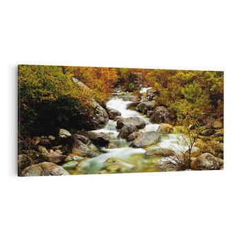 Obraz na płótnie 120x60 - Śpiew Strumienia - strumień, górski