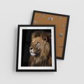 Plakat w ramie 40x50 - Władca Dzikiej Przyrody - lew, król - rama czarna
