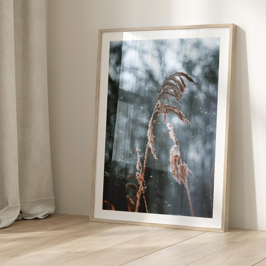 Plakat w ramie 30x40 - Zima na Łonie Natury - sucha wysoka trawa, w zimie - rama drewno