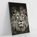 Obraz na płótnie 70x100 - Moc lewego spojrzenia - lew, czarno
