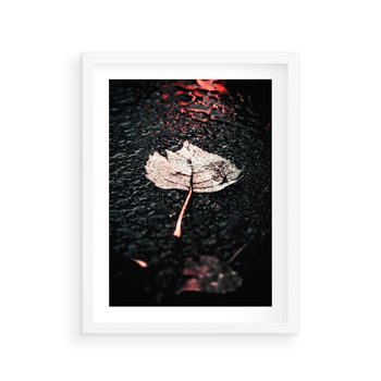 Plakat w ramie 50x70 - Jesień w Detalu: Liść na Mokrej Drodze - liść, jesień - rama biała