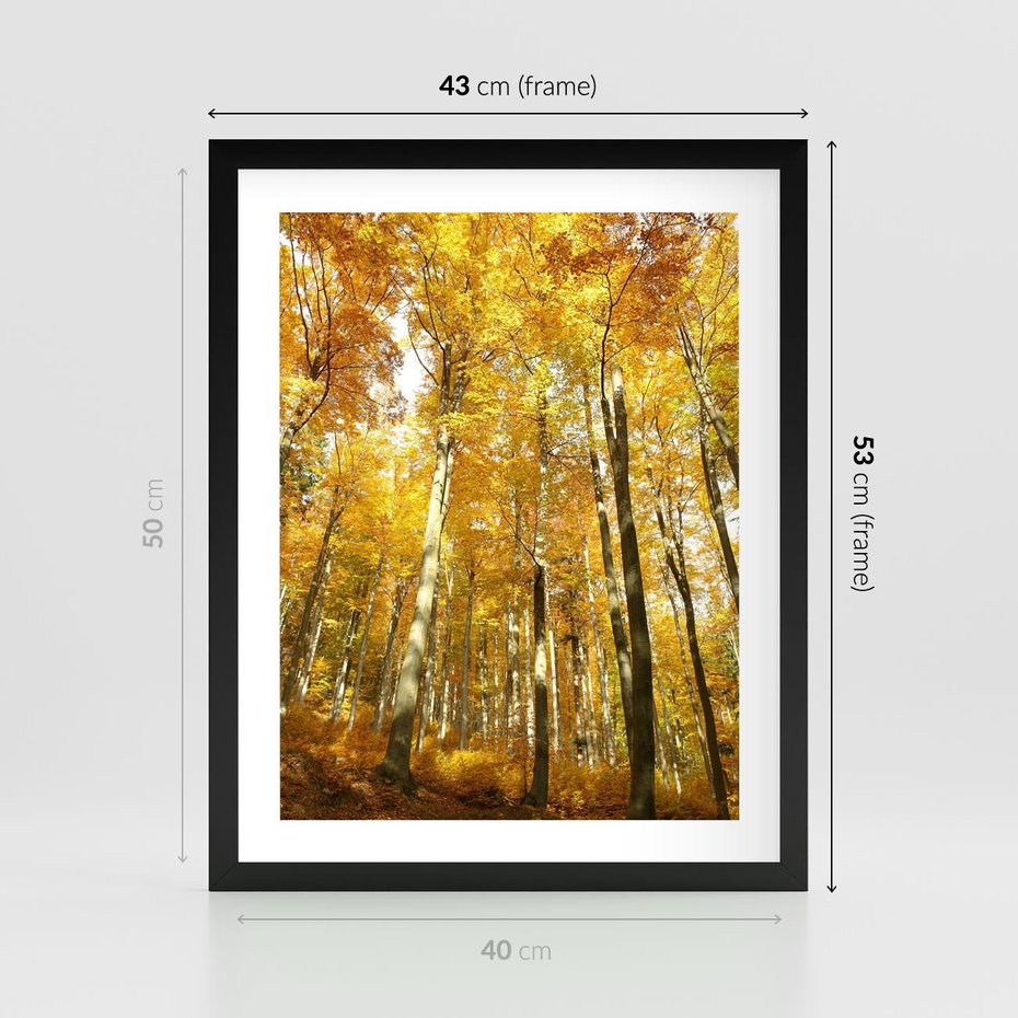 Plakat w ramie 40x50 - Jesienny Las - Kolorowa Paleta Natury - jesień, drzewa - rama czarna