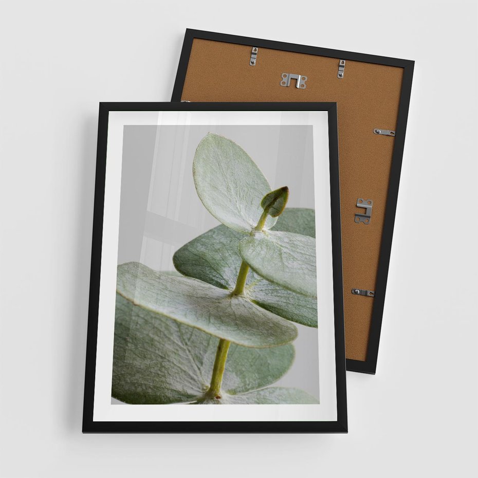 Plakat w ramie 50x70 - Eukaliptusowa zieleń - eukaliptus, zielone - rama czarna