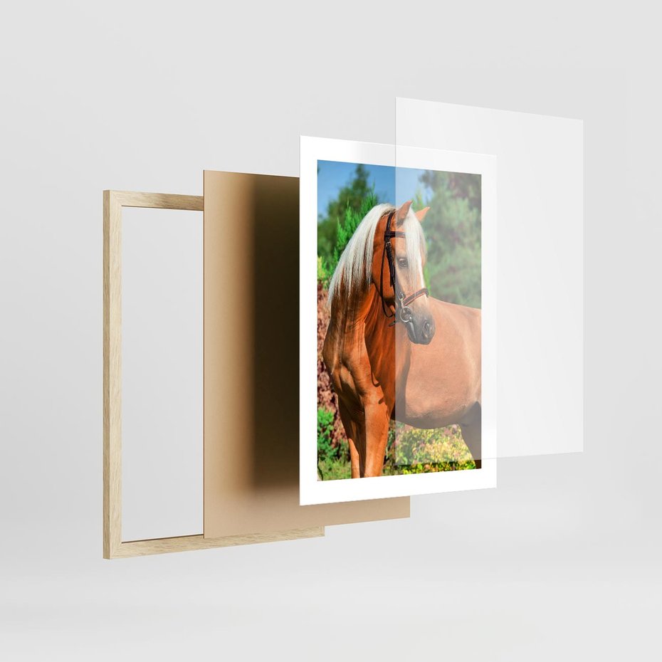 Plakat w ramie 30x40 - Elegancki wierzchowiec - koń, portret - rama drewno