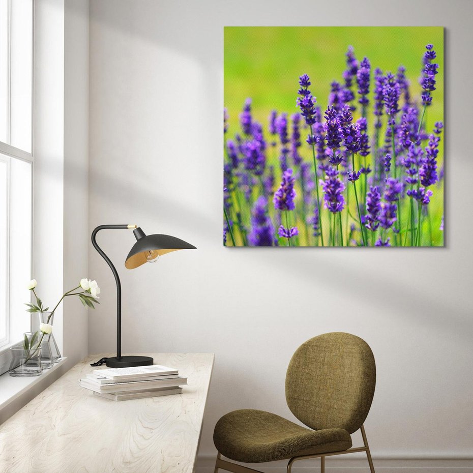 Obraz na płótnie 60x60 - Lawenda w naturze - lawenda, kwiaty