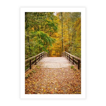 Plakat bez ramy 30x40 - Spacer Ścieżką w Las - ścieżka, spacer