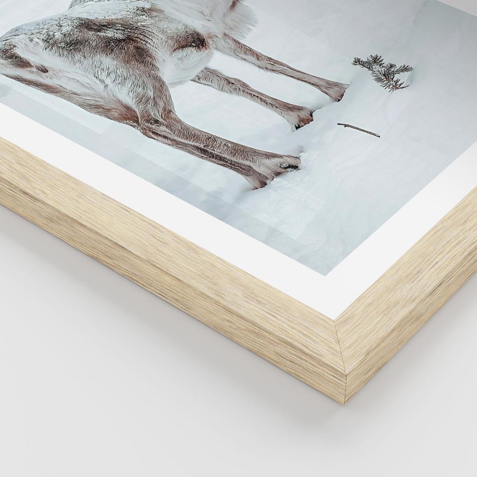 Plakat w ramie 40x50 - Magia Świąt - renifer na śniegu, śnieg - rama drewno