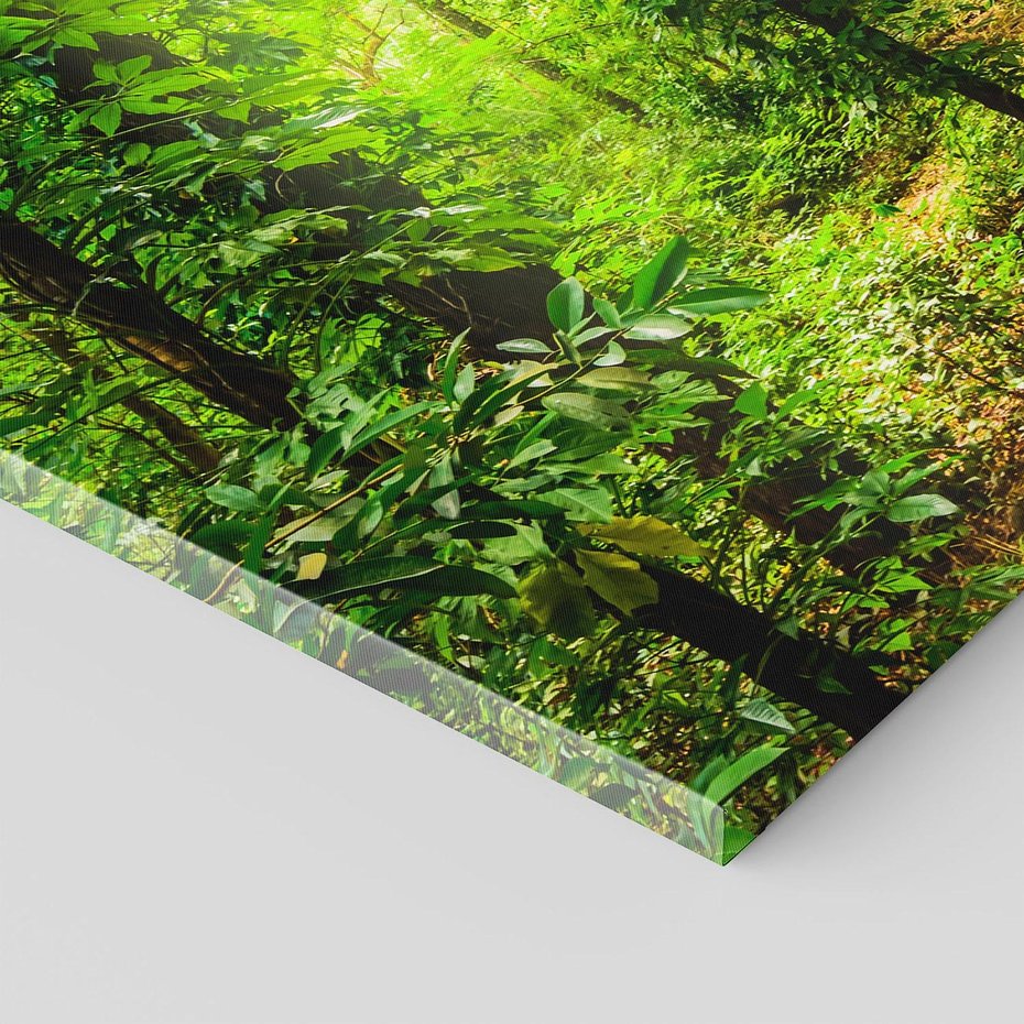 Obraz na płótnie 70x50 - Współistnienie z naturą - drzewa, las