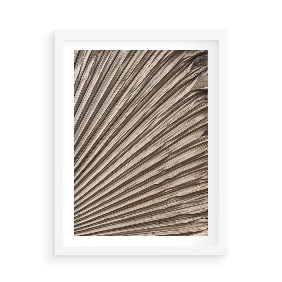 Plakat w ramie 50x70 - Liść Palmy w Wyjątkowej Kompozycji - suchy liść palmy, boho styl - rama biała