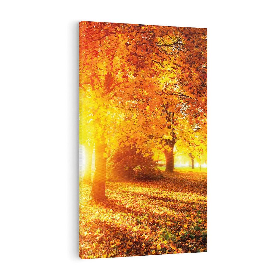 Obraz na płótnie 50x70 - Magia jesiennego lasu - las, drzewa