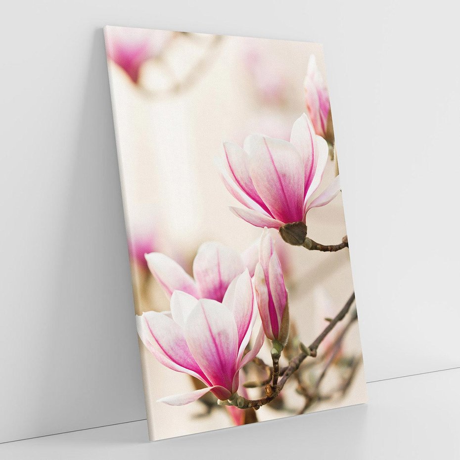 Obraz na płótnie 50x70 - Urok Magnolii - magnolie, kwiaty