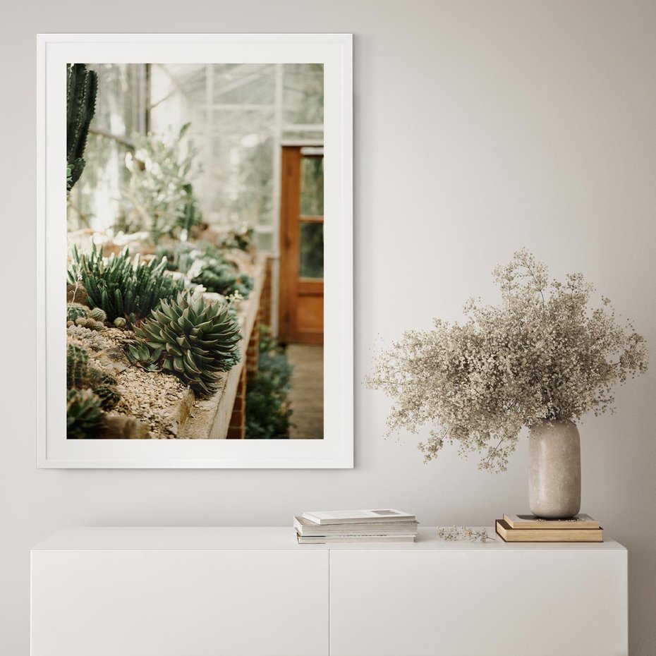 Plakat w ramie 30x40 - Sukulenty w Szklarni - sukulenty, w szklarni - rama biała
