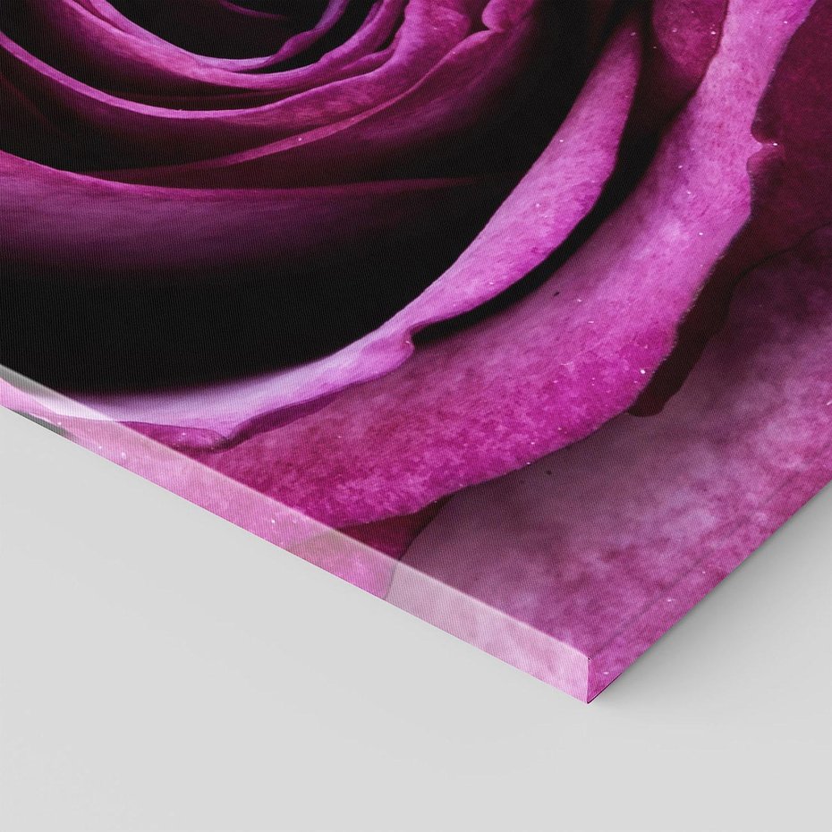 Obraz na płótnie 50x70 - piękno w delikatności - róża, kwiat