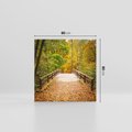 Obraz na płótnie 80x80 - Spacer Ścieżką w Las - ścieżka, spacer