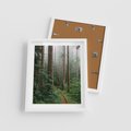 Plakat w ramie 40x50 - Mgliste Marzenia - artystyczna fotografia, las - rama biała