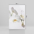 Obraz na płótnie 50x70 - Orchidea Kwiat - orchidea, kwiat