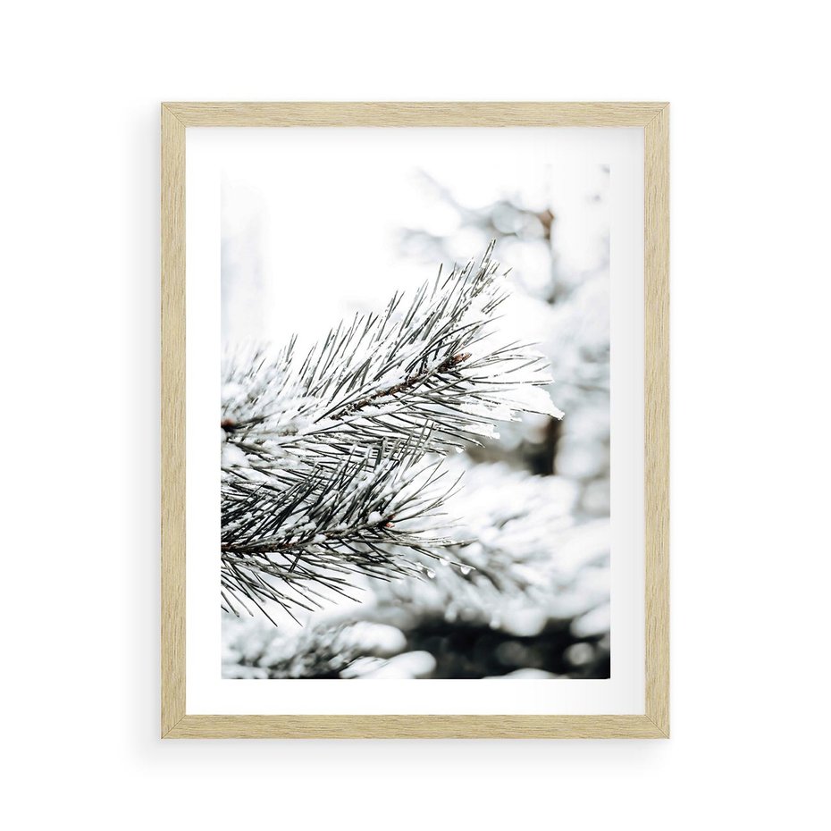 Plakat w ramie 40x50 - Chwila Zimowej Magii - iglasta gałązka, śnieg - rama drewno