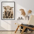 Plakat bez ramy 30x40 - Klimat Wiejskiego Życia - amerykańska krowa, byk