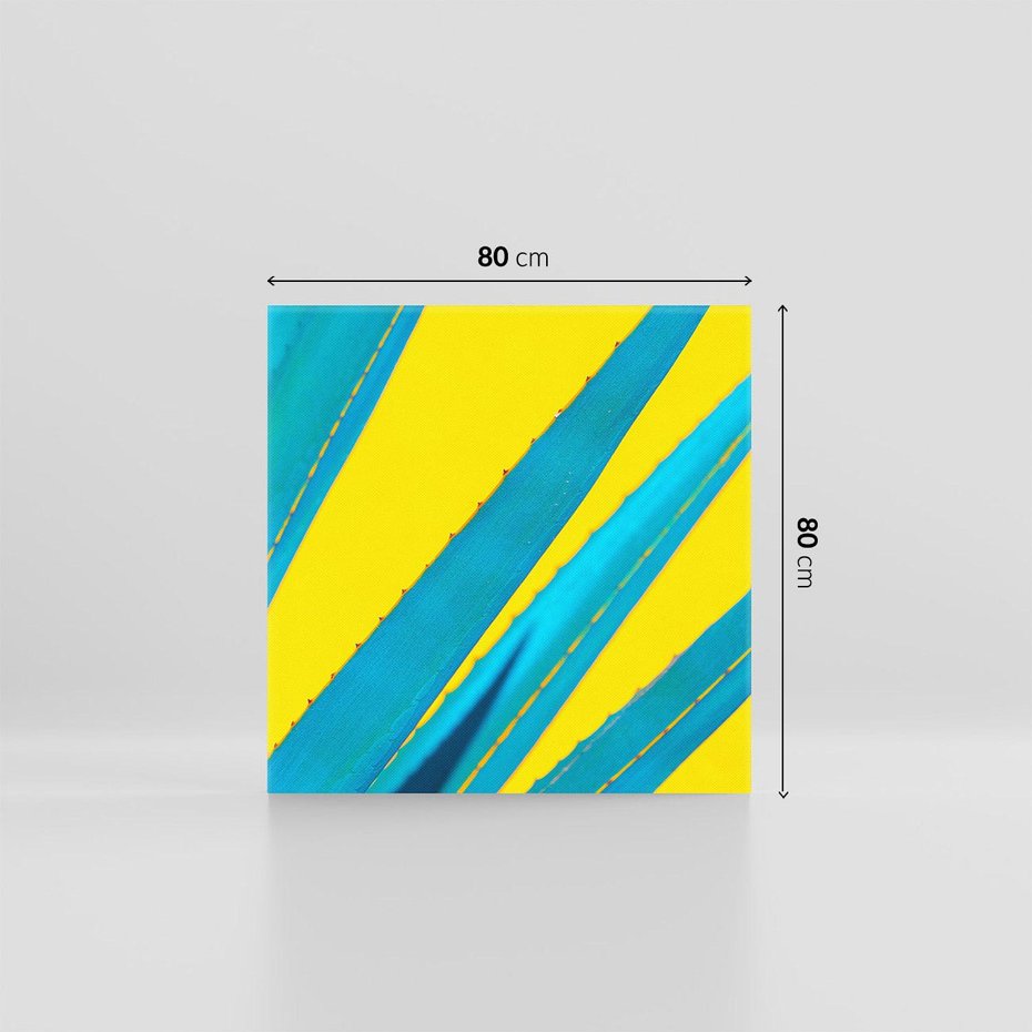 Obraz na płótnie 80x80 - Świeżość Natury - aloes, liście