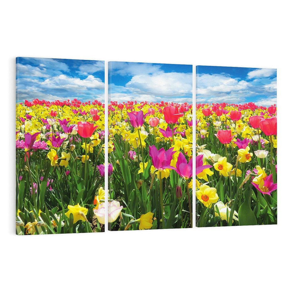 Obraz na płótnie 120x80 - tulipany na łące - kwiaty, tulipany