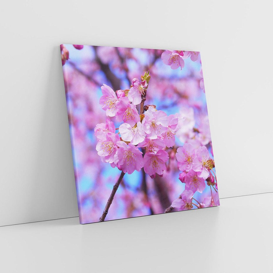 Obraz na płótnie 80x80 - magia kolorów - kwiat, kwiaty