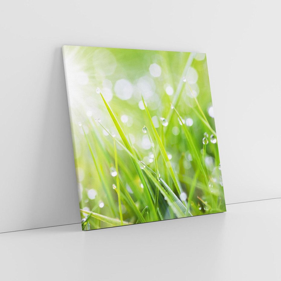 Obraz na płótnie 70x70 - Delikatna trawa pokryta rosą - trawa, rosa