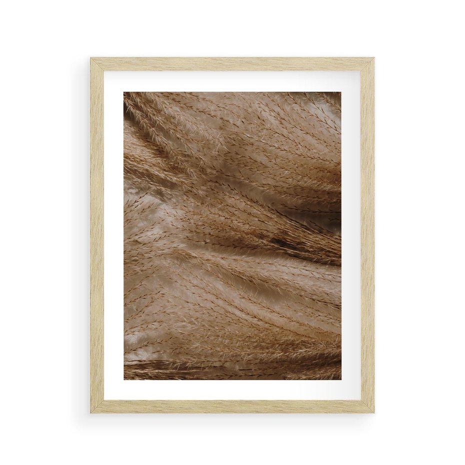 Plakat w ramie 40x50 - Pampasowy Brąz - suche trawy, trawa pampasowa - rama drewno