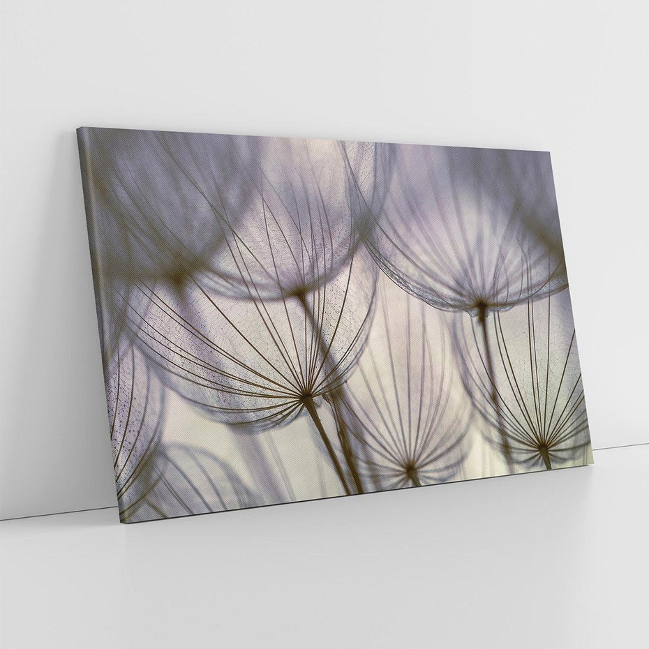 Obraz na płótnie 100x70 - Makro dmuchawiec - piękno drobnych detali - dmuchawce, makro