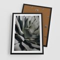 Plakat w ramie 50x70 - Egzotyczny Raj - sukulenty, kaktusy - rama czarna