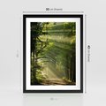 Plakat w ramie 30x40 - harmonia natury - las, drzewa - rama czarna