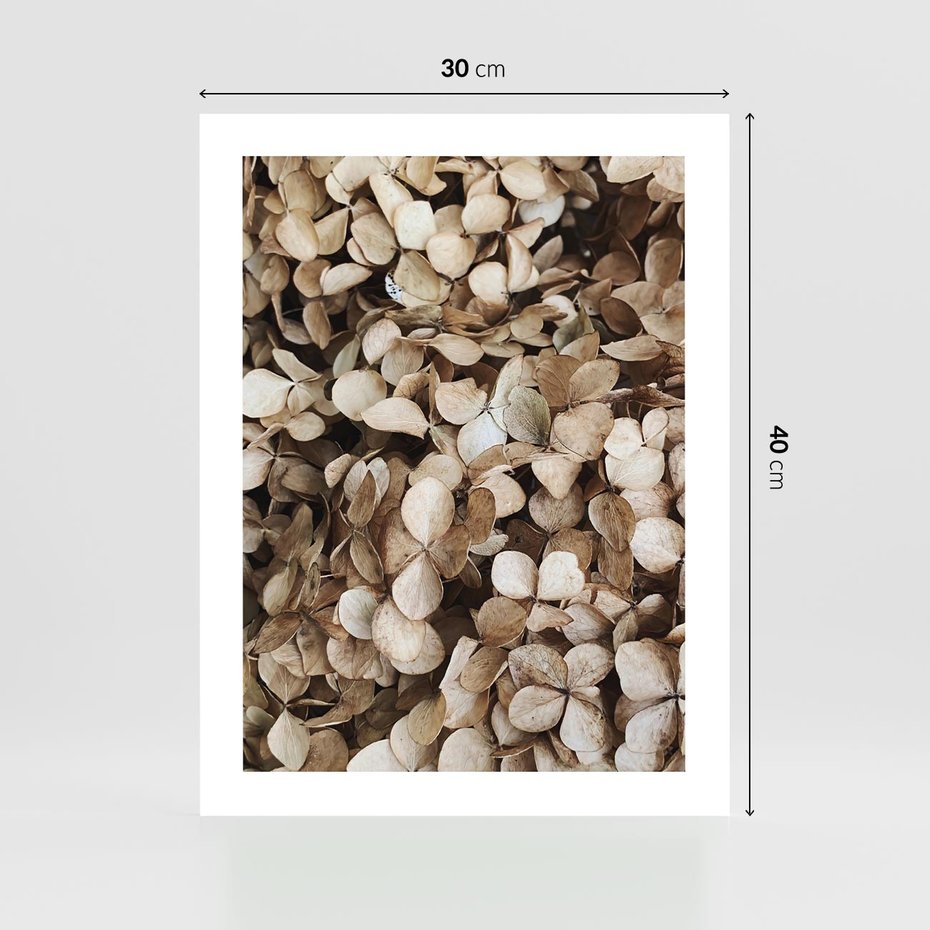 Plakat bez ramy 30x40 - Delikatność Hortensji: Kompozycja Kwiatów w Beżu - hortensja, odcienie beżu