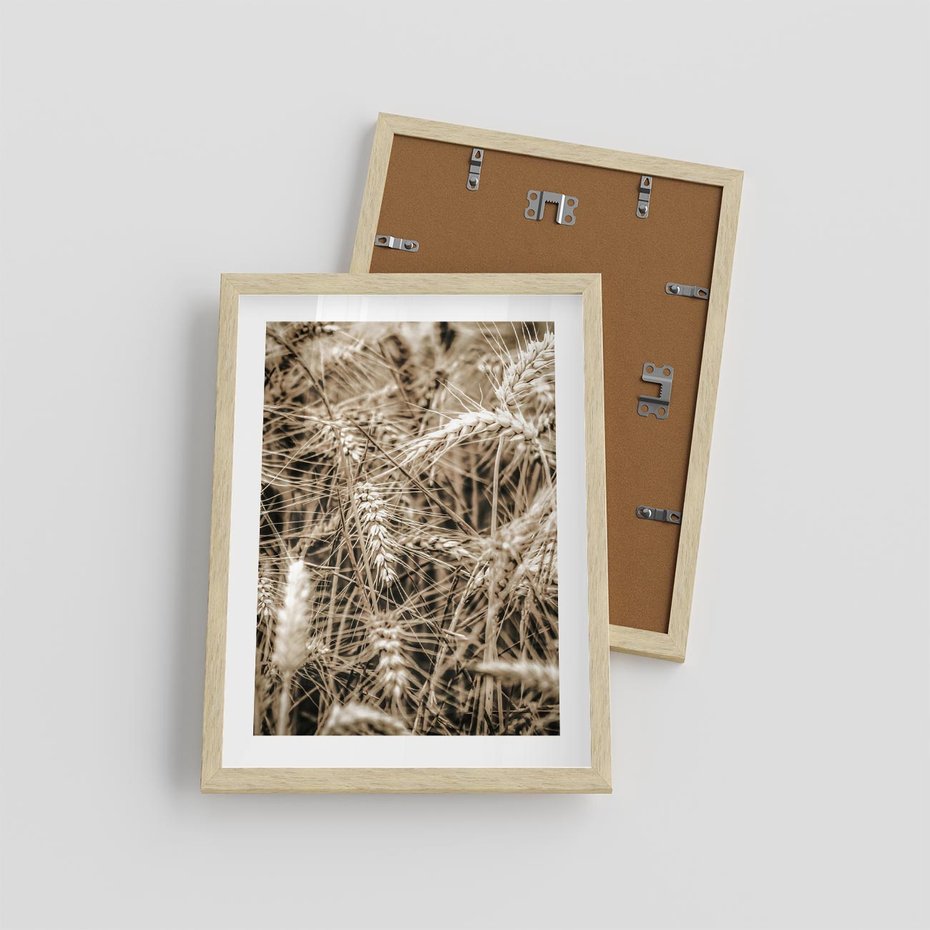Plakat w ramie 30x40 - Zbliżenie na Kłosy Zboża - zboża, kłosy zboża - rama drewno