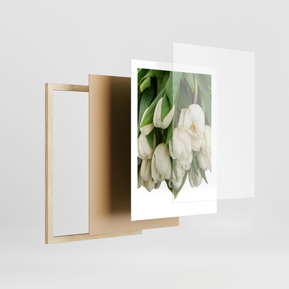 Plakat w ramie 50x70 - Białe tulipany w pełnym rozkwicie - białe, tulipany - rama drewno