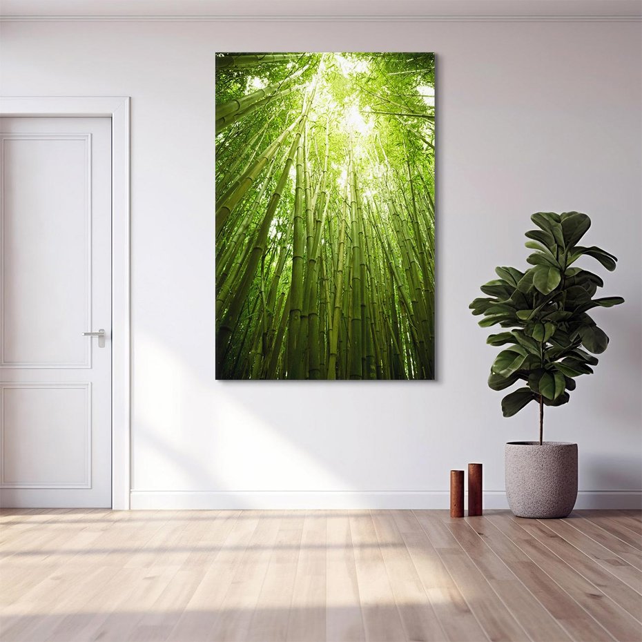 Obraz na płótnie 70x100 - Siła Natury - drzewa, las