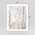 Plakat bez ramy 40x50 - Szron na Gałęziach - ośnieżone gałązki, szron na gałęziach