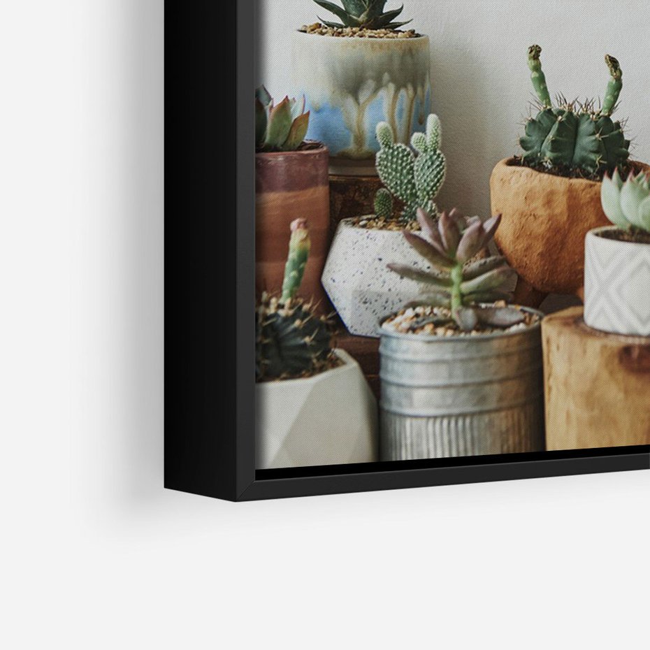 Obraz w ramie 70x100 - Naturalna Harmonia - kaktusy, liście - rama czarna